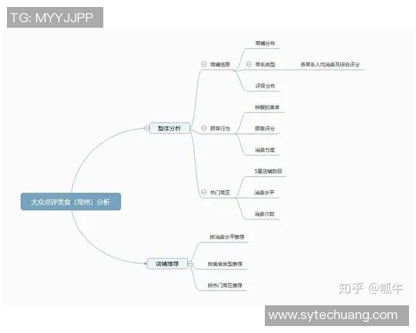 成都排球队在挑战赛中的团队协作表现分析与点评